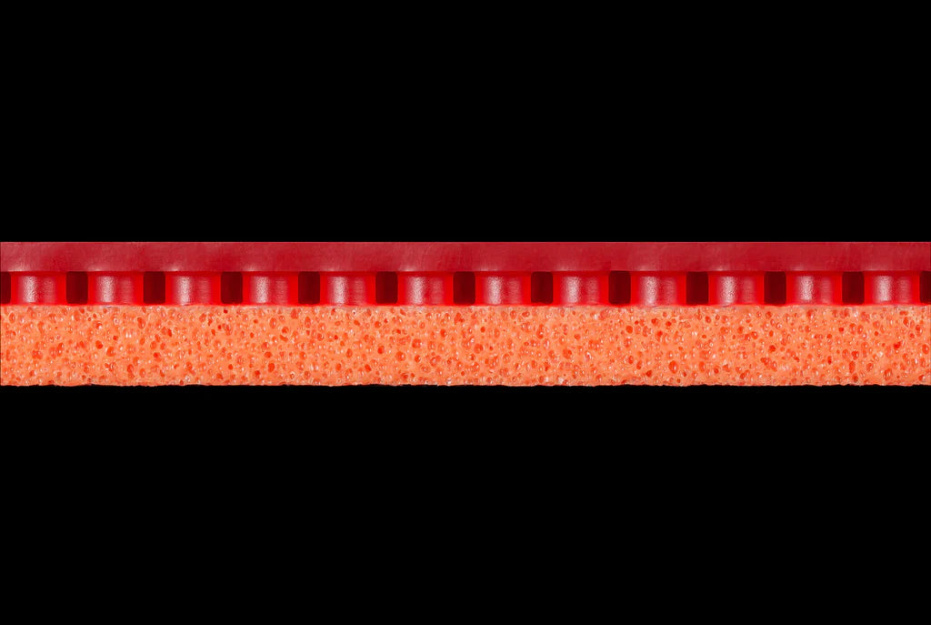 Butterfly TENERGY 19