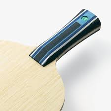 Fan Zhendong Super ALC (FL)